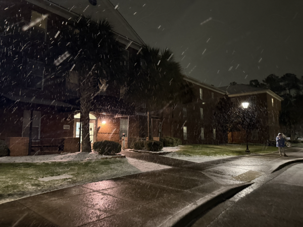 Steady snow falling outside Ronald Eaglin residence hall.